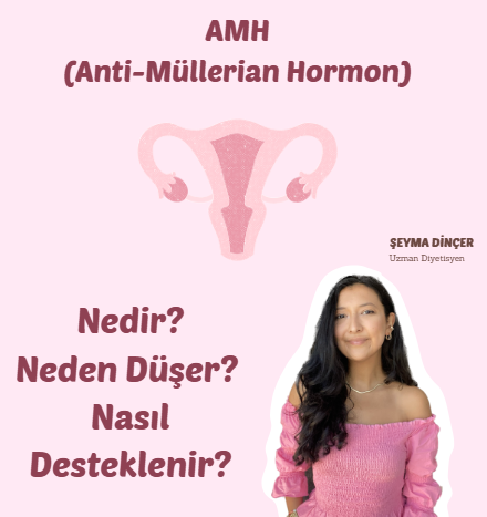 AMH (Anti-Müllerian Hormon) Hakkında: Nedir, Neden Düşer ve Nasıl Desteklenir?